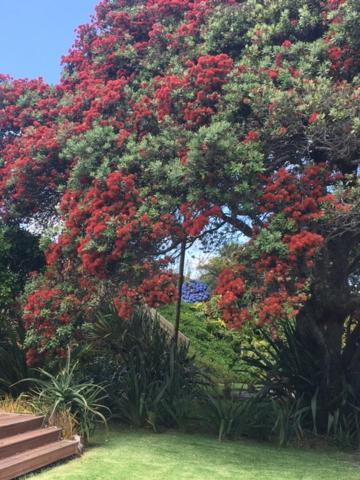 Absolute Waterfront Serenity Near Auckland Clarks Beach Екстер'єр фото