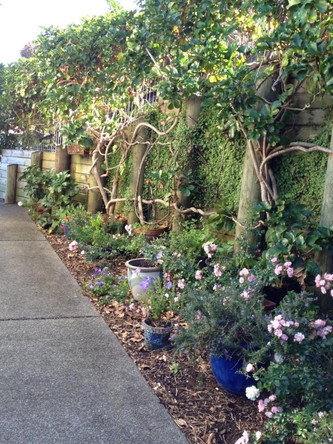 Absolute Waterfront Serenity Near Auckland Clarks Beach Екстер'єр фото